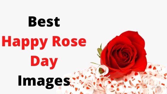 Best Happy Rose Day Images