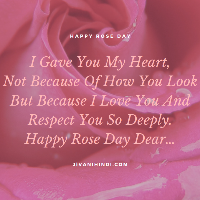 happy rose day image